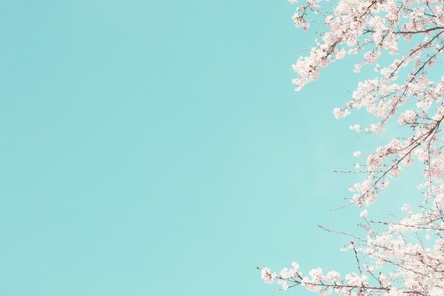 astro-notion-blogの始め方：環境構築から初期デプロイまでの手順のサムネイル画像